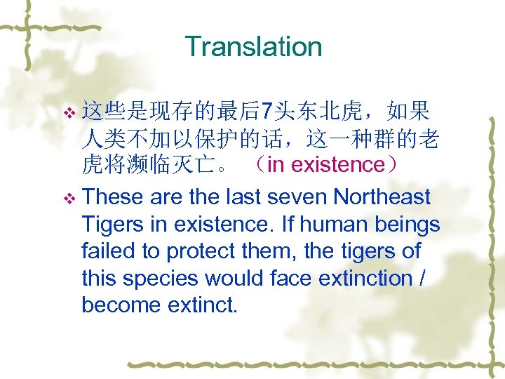 Translation v 这些是现存的最后7头东北虎，如果 人类不加以保护的话，这一种群的老 虎将濒临灭亡。 （in existence） v These are the last seven Northeast