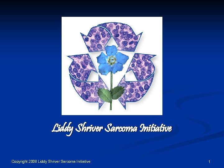 Liddy Shriver Sarcoma Initiative Copyright 2006 Liddy Shriver Sarcoma Initiative 1 