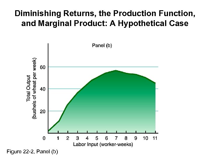 Diminishing Returns, the Production Function, and Marginal Product: A Hypothetical Case Figure 22 -2,