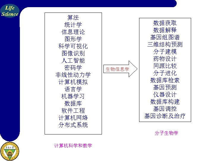 Life Science 算法 统计学 信息理论 图形学 科学可视化 图像识别 人 智能 密码学 非线性动力学 计算机模拟 语言学