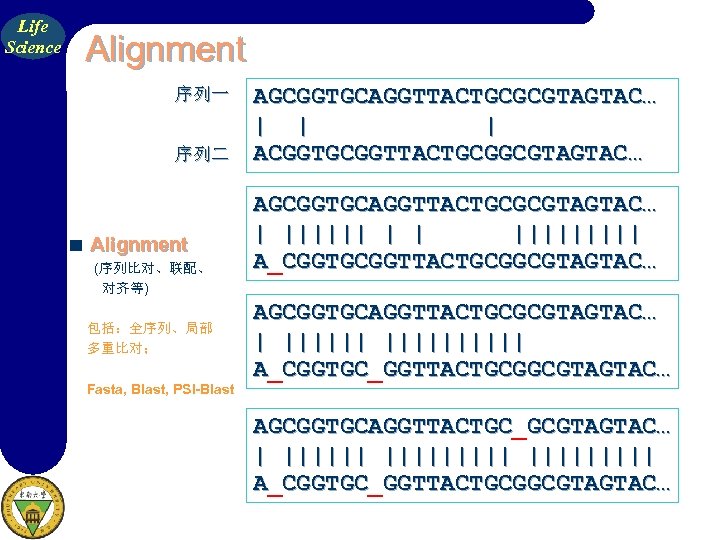 Life Science Alignment 序列一 序列二 Alignment (序列比对、联配、 对齐等) 包括：全序列、局部 多重比对； Fasta, Blast, PSI-Blast AGCGGTGCAGGTTACTGCGCGTAGTAC…