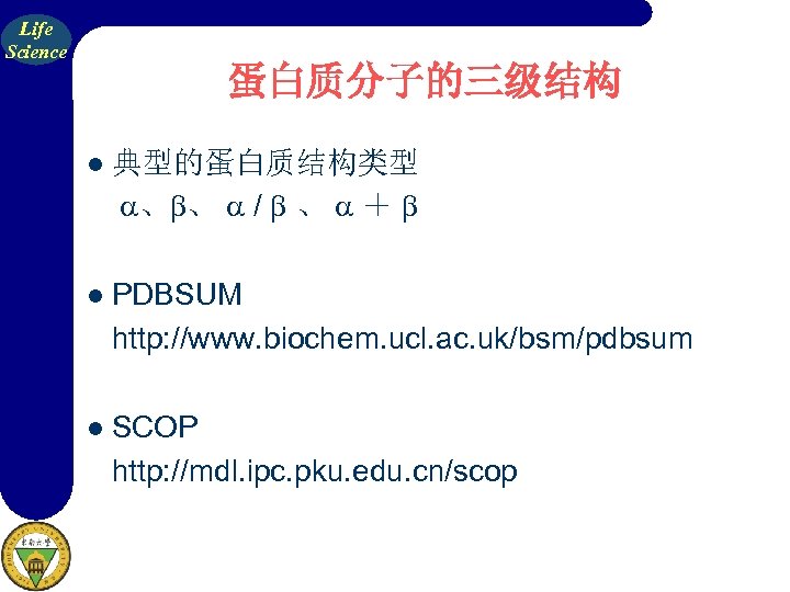 Life Science 蛋白质分子的三级结构 l 典型的蛋白质结构类型 a、b、 a / b 、 a ＋ b l