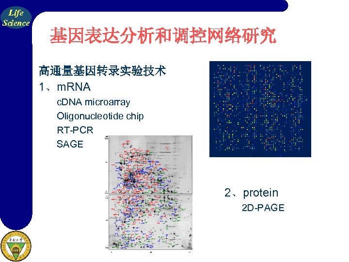 Life Science 基因表达分析和调控网络研究 高通量基因转录实验技术 1、m. RNA c. DNA microarray Oligonucleotide chip RT-PCR SAGE 2、protein