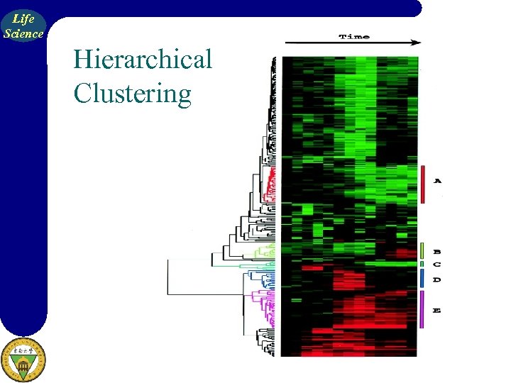Life Science Hierarchical Clustering 