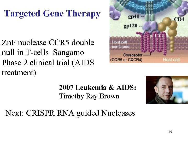 Targeted Gene Therapy Zn. F nuclease CCR 5 double null in T-cells Sangamo Phase