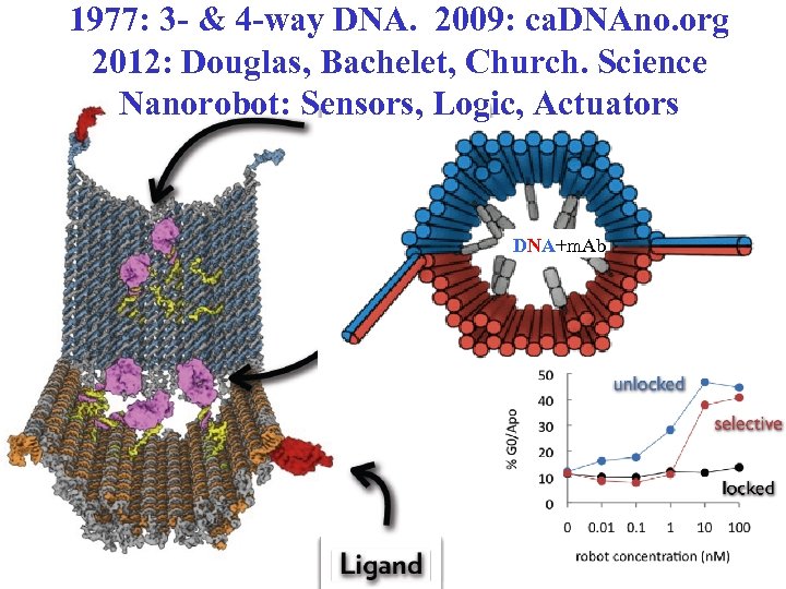 1977: 3 - & 4 -way DNA. 2009: ca. DNAno. org 2012: Douglas, Bachelet,