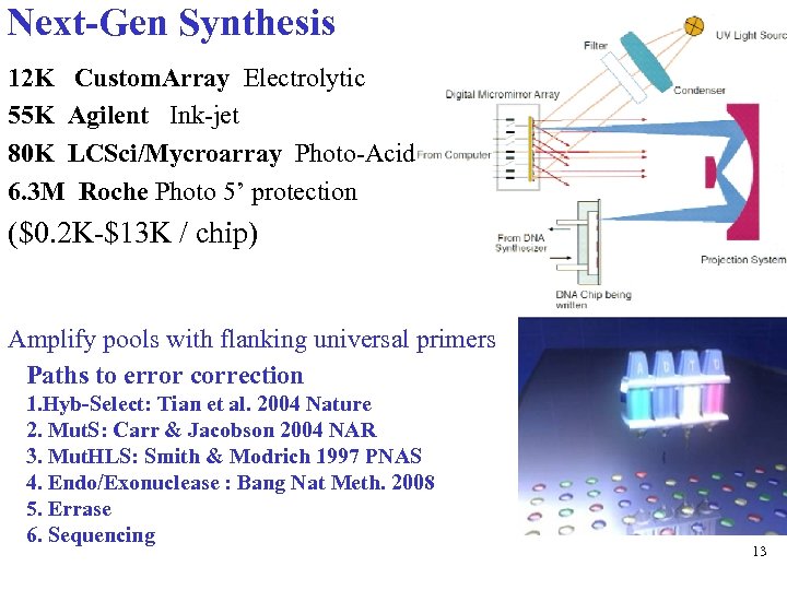 Next-Gen Synthesis 12 K Custom. Array Electrolytic 55 K Agilent Ink-jet 80 K LCSci/Mycroarray