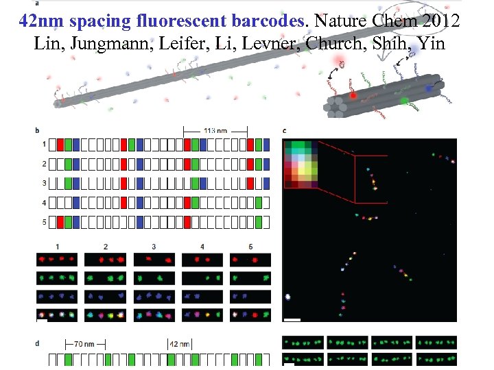 42 nm spacing fluorescent barcodes. Nature Chem 2012 Lin, Jungmann, Leifer, Li, Levner, Church,