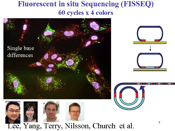 Fluorescent in situ Sequencing (FISSEQ) 60 cycles x 4 colors Single base differences Lee,