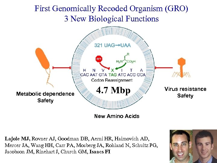 First Genomically Recoded Organism (GRO) 3 New Biological Functions Metabolic dependence Safety 4. 7