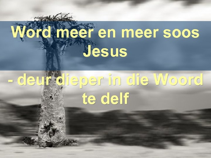 Word meer en meer soos Jesus - deur dieper in die Woord te delf