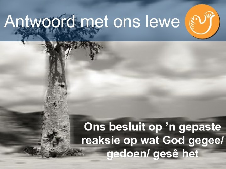 Antwoord met ons lewe Ons besluit op ’n gepaste reaksie op wat God gegee/