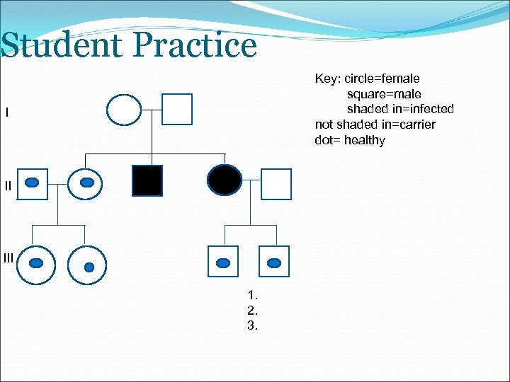 Student Practice Key: circle=female square=male shaded in=infected not shaded in=carrier dot= healthy I II