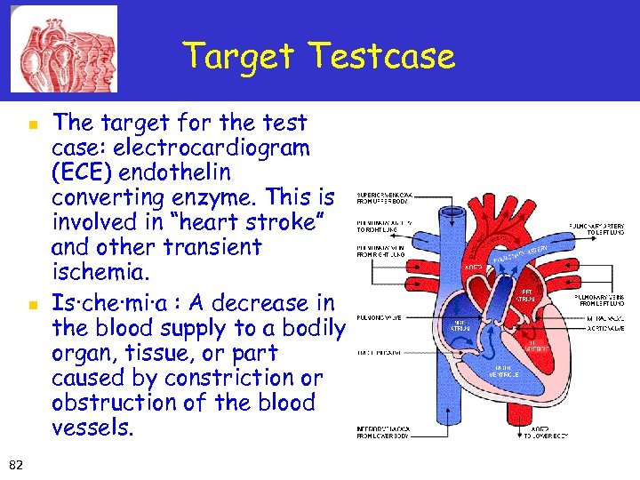 Target Testcase n n 82 The target for the test case: electrocardiogram (ECE) endothelin