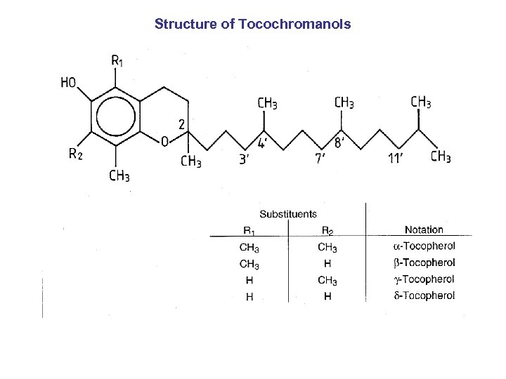 Structure of Tocochromanols 