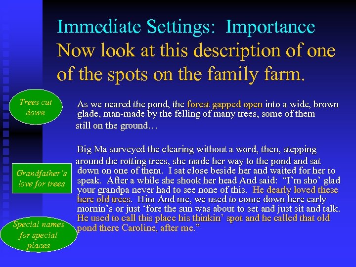 Immediate Settings: Importance Now look at this description of one of the spots on