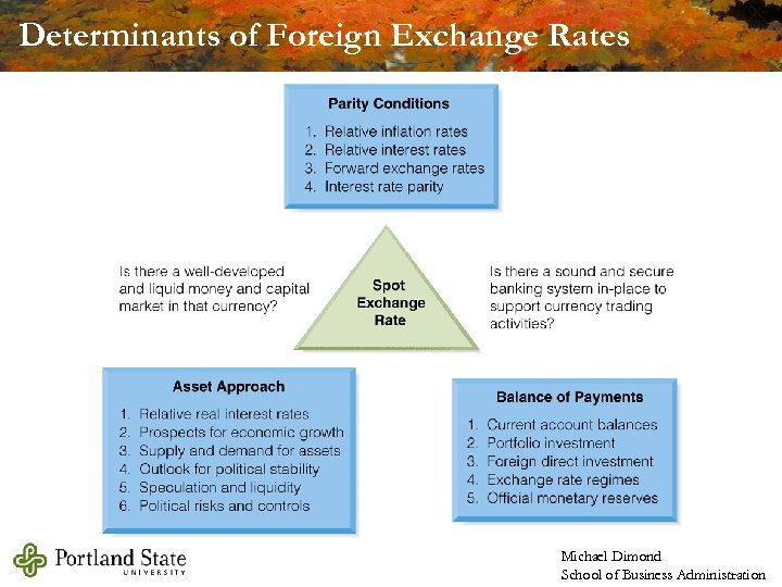 Determinants of Foreign Exchange Rates Michael Dimond School of Business Administration 