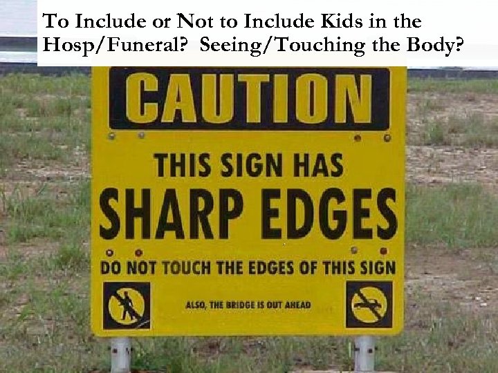 To Include or Not to Include Kids in the Hosp/Funeral? Seeing/Touching the Body? 