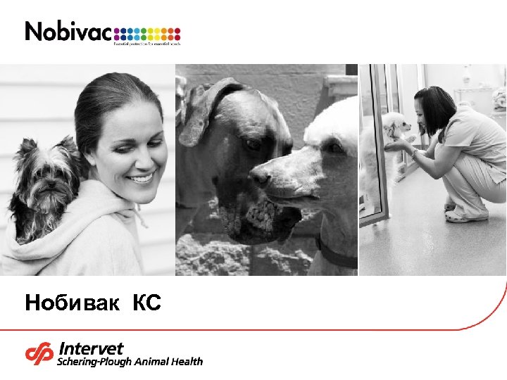 Нoбивак КС 
