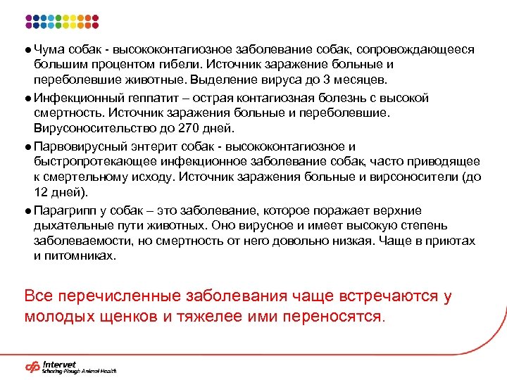 ● Чума собак - высококонтагиозное заболевание собак, сопровождающееся большим процентом гибели. Источник заражение больные
