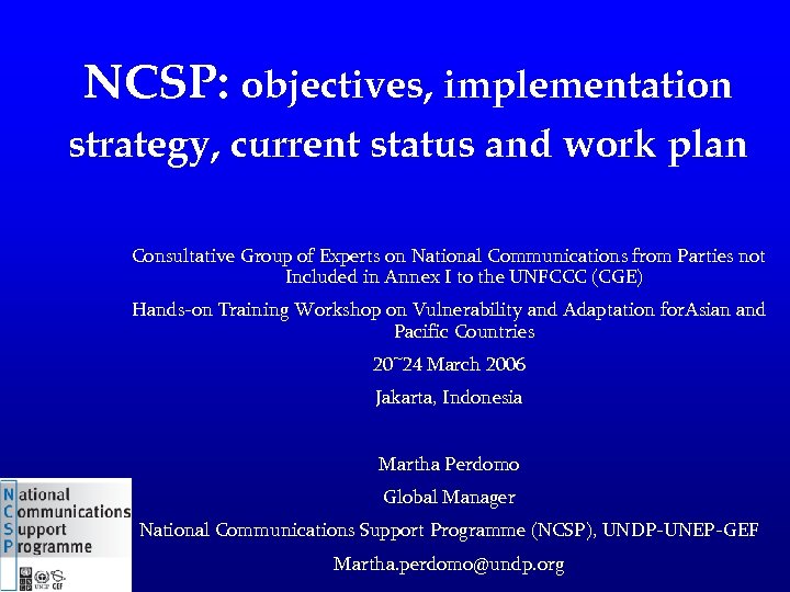 NCSP: objectives, implementation strategy, current status and work plan Consultative Group of Experts on