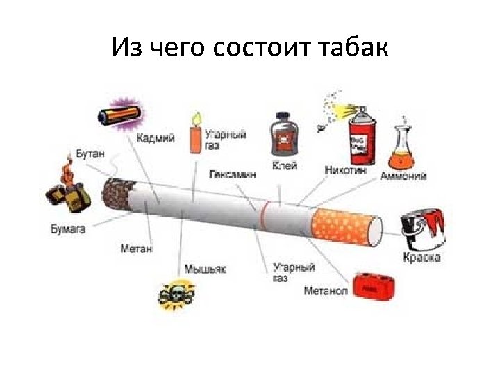 Из чего состоит табак 