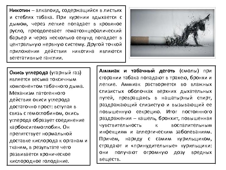Никотин – алкалоид, содержащийся в листьях и стеблях табака. При курении вдыхается с дымом,