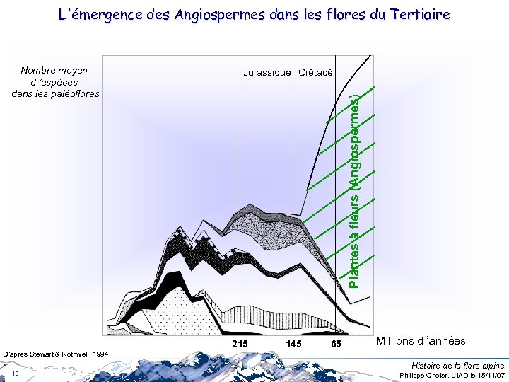 L'émergence des Angiospermes dans les flores du Tertiaire Jurassique Crétacé Plantes à fleurs (Angiospermes)