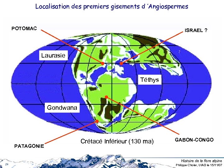 Localisation des premiers gisements d ’Angiospermes POTOMAC ISRAEL ? Laurasie Téthys Gondwana PATAGONIE 20