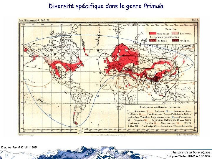 Diversité spécifique dans le genre Primula D’après Pax & Knuth, 1905 26 Histoire de