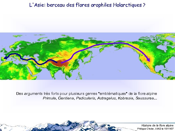 L'Asie: berceau des flores orophiles Holarctiques ? Des arguments très forts pour plusieurs genres