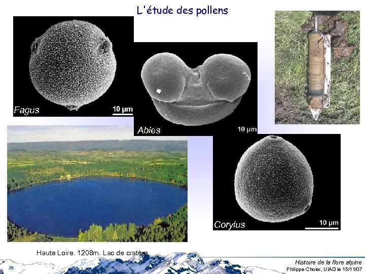 L'étude des pollens Fagus Abies Corylus Haute Loire. 1208 m. Lac de cratère. 35