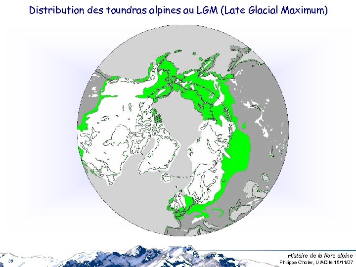 Distribution des toundras alpines au LGM (Late Glacial Maximum) 38 Histoire de la flore
