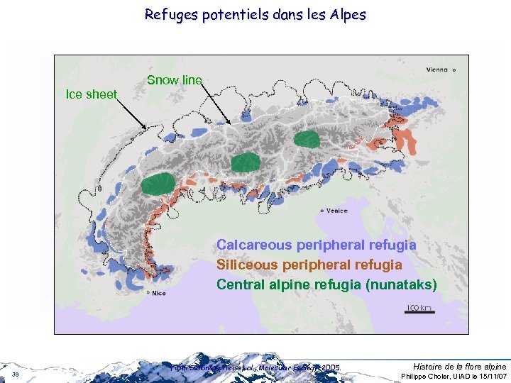 Refuges potentiels dans les Alpes Snow line Ice sheet Calcareous peripheral refugia Siliceous peripheral