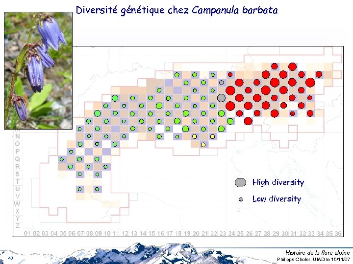 Diversité génétique chez Campanula barbata High diversity Low diversity 43 Histoire de la flore