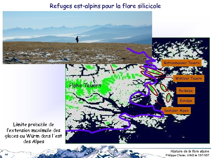Refuges est-alpins pour la flore silicicole Rottenmanner Tauern Hohe Tauern Wöhlzer Tauern Packalpe Koralpe