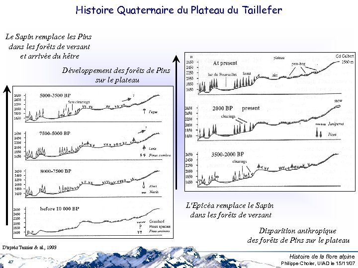 Histoire Quaternaire du Plateau du Taillefer Le Sapin remplace les Pins dans les forêts