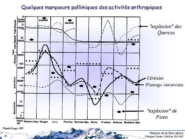 Quelques marqueurs polliiniques des activités anthropiques 