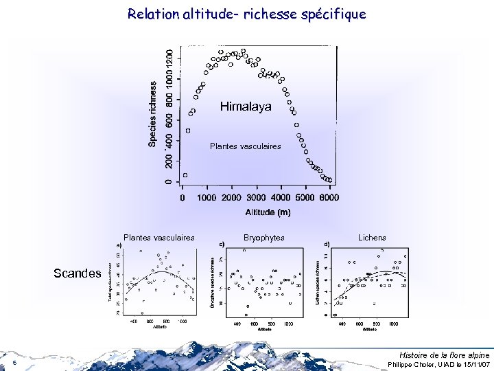 Relation altitude- richesse spécifique Himalaya Plantes vasculaires Bryophytes Lichens Scandes 5 Histoire de la