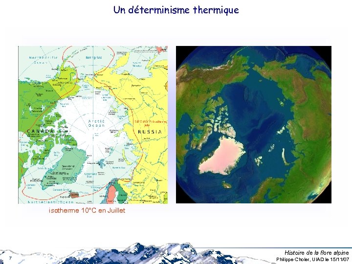 Un déterminisme thermique isotherme 10°C en Juillet 7 Histoire de la flore alpine Philippe