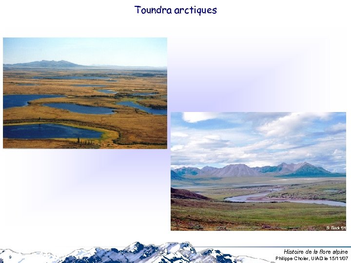 Toundra arctiques 9 Histoire de la flore alpine Philippe Choler, UIAD le 15/11/07 