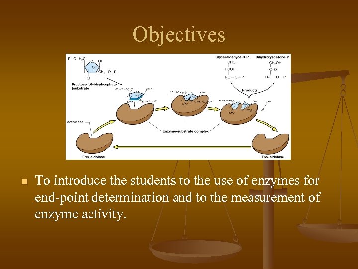 Objectives n To introduce the students to the use of enzymes for end-point determination