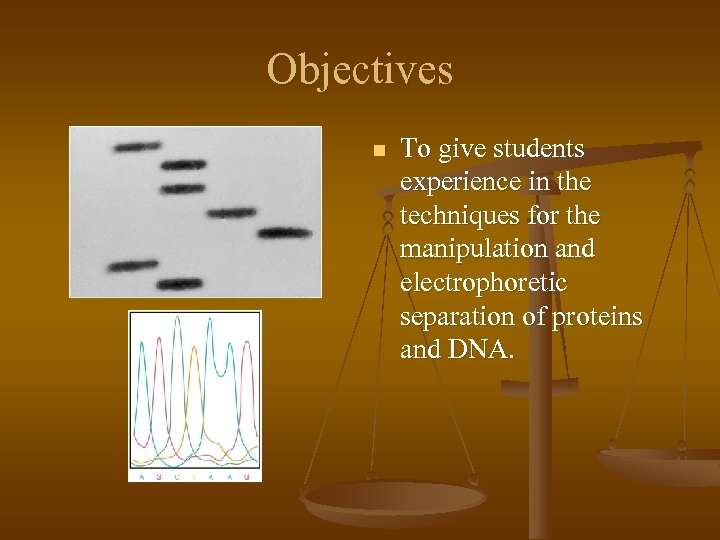 Objectives n To give students experience in the techniques for the manipulation and electrophoretic