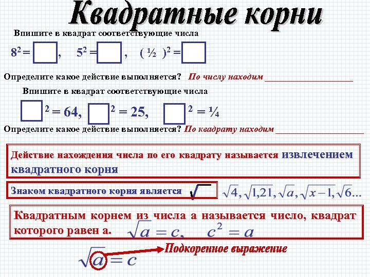Впишите в квадрат соответствующие числа 82 = , 52 = , ( ½ )2