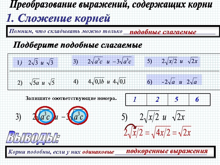 Запиши соответствующие номера