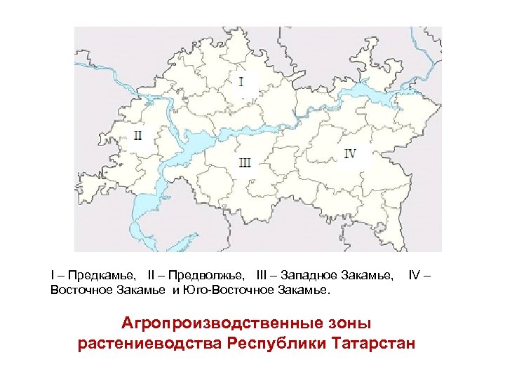 I – Предкамье, II – Предволжье, III – Западное Закамье, IV – Восточное Закамье