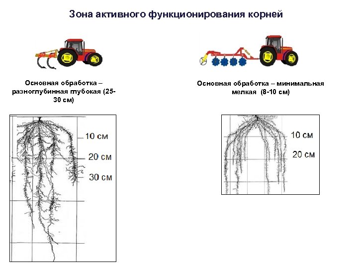 Зона активного функционирования корней Основная обработка – разноглубинная глубокая (2530 см) Основная обработка –