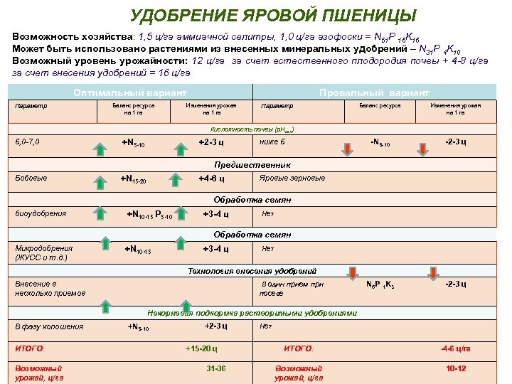 УДОБРЕНИЕ ЯРОВОЙ ПШЕНИЦЫ Возможность хозяйства: 1, 5 ц/га аммиачной селитры, 1, 0 ц/га азофоски
