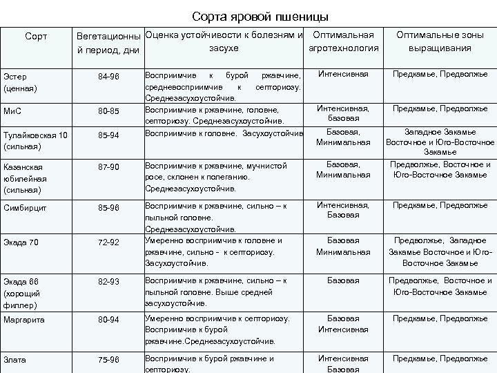 Сорта яровой пшеницы Сорт Вегетационны Оценка устойчивости к болезням и Оптимальная засухе агротехнология й