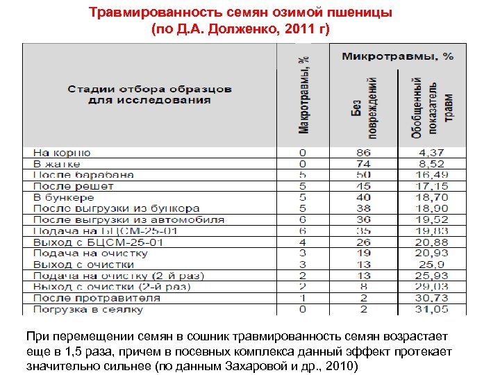 Травмированность семян озимой пшеницы (по Д. А. Долженко, 2011 г) При перемещении семян в